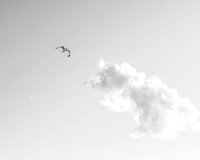Escape