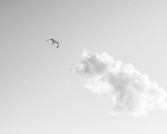 Escape
